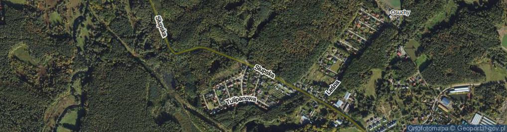 Zdjęcie satelitarne Słupska ul.